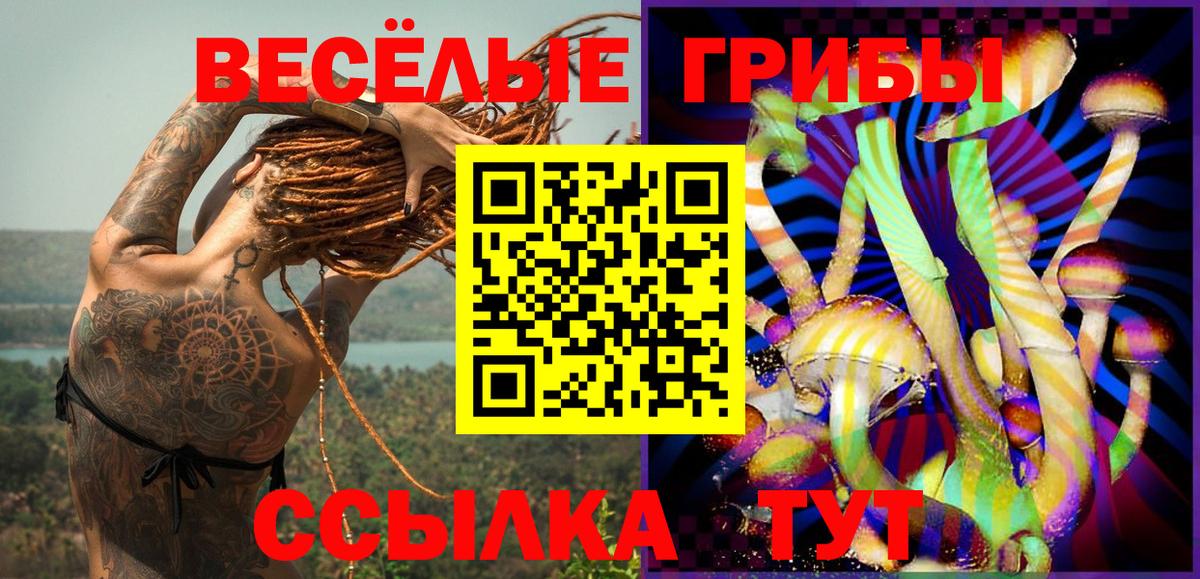 где купить наркоту  Псилоцибиновые грибы Cubensis  Вход с VPN  Заводоуковск 